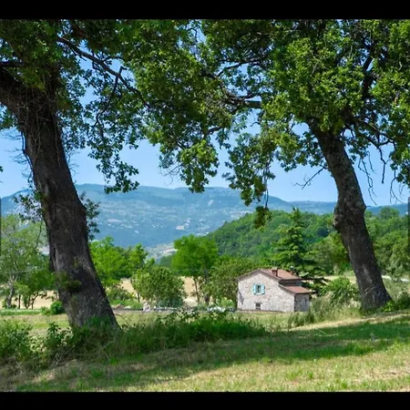 Coccole * Montetassi