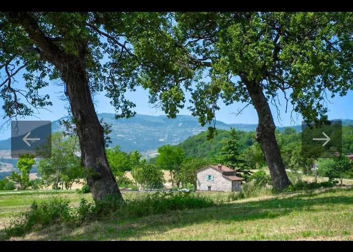 Coccole * Montetassi