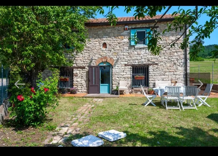 Coccole * Montetassi